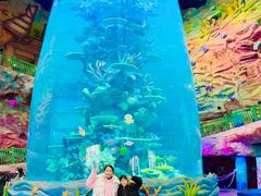 -青岛嘉年华主题乐园