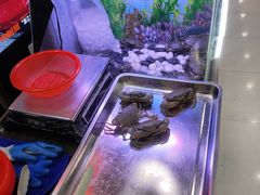 -胖哥俩肉蟹煲(湛江印象汇店)