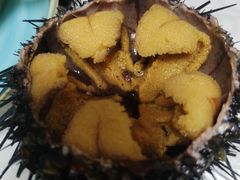 小平岛深水黑海胆-南山酒肆(南山董事绘店)