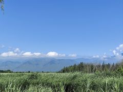-野鸭湖国家湿地公园