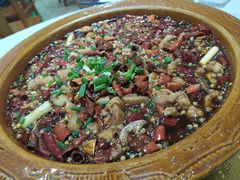 璧山兔-西木兔(大圆祥店)