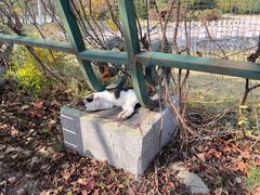 -哈尔滨北方森林动物园