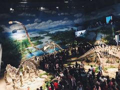 -自贡恐龙博物馆