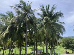 -三亚南山文化旅游区