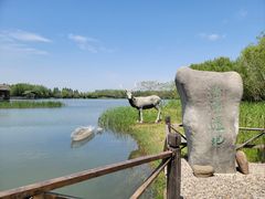 -溱湖国家湿地公园