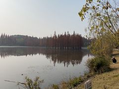 -白鹭湾湿地公园