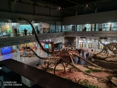 -自贡恐龙博物馆