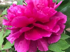 -合肥三国新城遗址公园