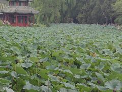 -莲池书院博物馆