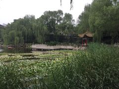 -文瀛公园