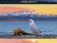 -鲜有基参鸡汤(望京新城店)