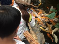 -上海昆虫博物馆