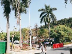 -南国桃园旅游度假区