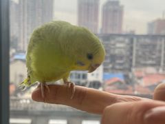 -怪兽屋·羊驼·猫咖·狗咖(俊华广场店)