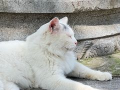 -宝通禅寺