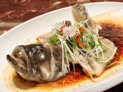 -东方御宴海鲜酒楼(棕泉酒店)