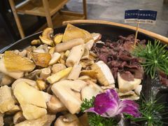 -一朵菌·野生菌探索家火锅(南亚店)