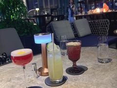 -四季酒店·空中花园 Aria on 9