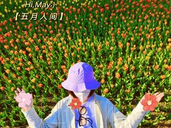 -长春公园(普阳街道)