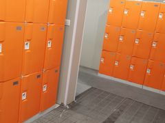 -伟博游泳健身