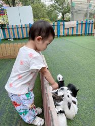 -萌宠亲子动物乐园(槐房万达店)