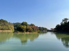 -广州白江湖森林公园