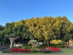 -上海滨江森林公园