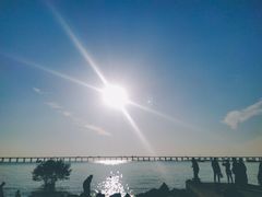 -宝安西湾红树林湿地公园