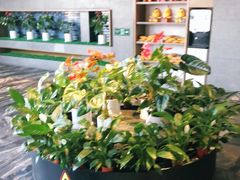 -大鸭梨烤鸭(枣园店)