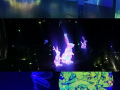 -杭州宋城