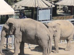 -新疆天山野生动物园