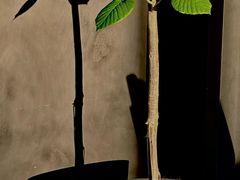 -M Stand(上海人民广场来福士店)