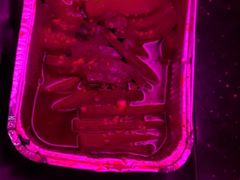 -冰城小镇音乐串吧·聚会餐厅(百子湾店)