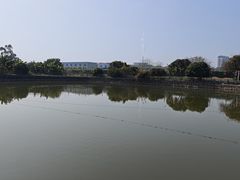 -新塘水果乐园(东洲大道店)