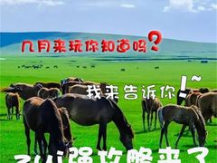 -呼伦贝尔大草原