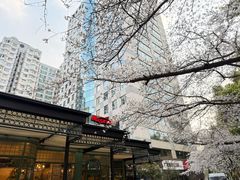 -玛格萝妮比萨屋(四平店)