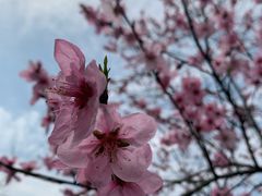 -常德桃花源景区