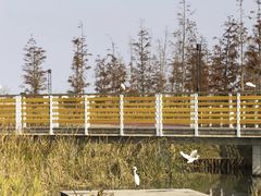 -春花秋色城市公园