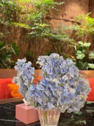 -花隐·美芙炫海菲秀皮肤管理中心