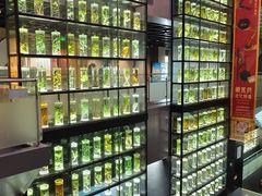 -广东中医药博物馆