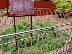 -揭阳学宫(榕城区)