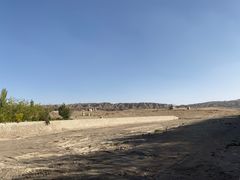 -许记驴肉黄面胡杨焖饼