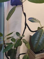 -LJOY丽锦造型·烫发染发