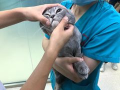 -中农大我爱我爱动物医院(甜水园店)