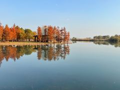 -贡湖湾湿地公园