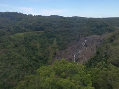 -热带雨林自然公园