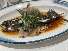 -红棉中餐厅·广州海航威斯汀酒店