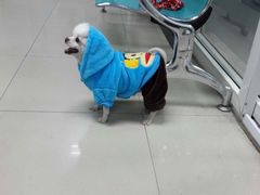 image-康乐宝动物医院