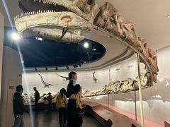 -自贡恐龙博物馆