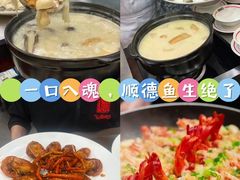 -飞尝蚝·顺德菜·鱼生(顺德总店)